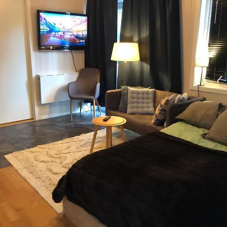 Hybel Rett Ved Sentrum.parkering Og Egen Inngang. * 奥勒松